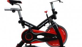 Bicicleta de spinning Trainer Pro ECO-DE-819